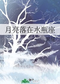 月亮落在水瓶座